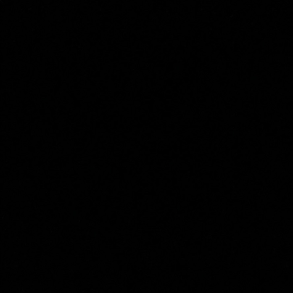 Meet your Posher, Korey